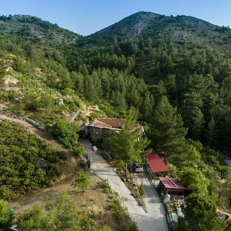 Σαλέ Fikardou Phicardou