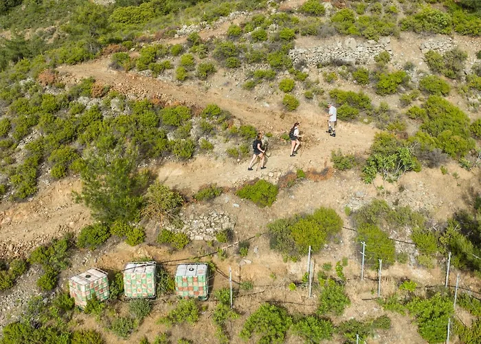 Fikardou Domek alpejski